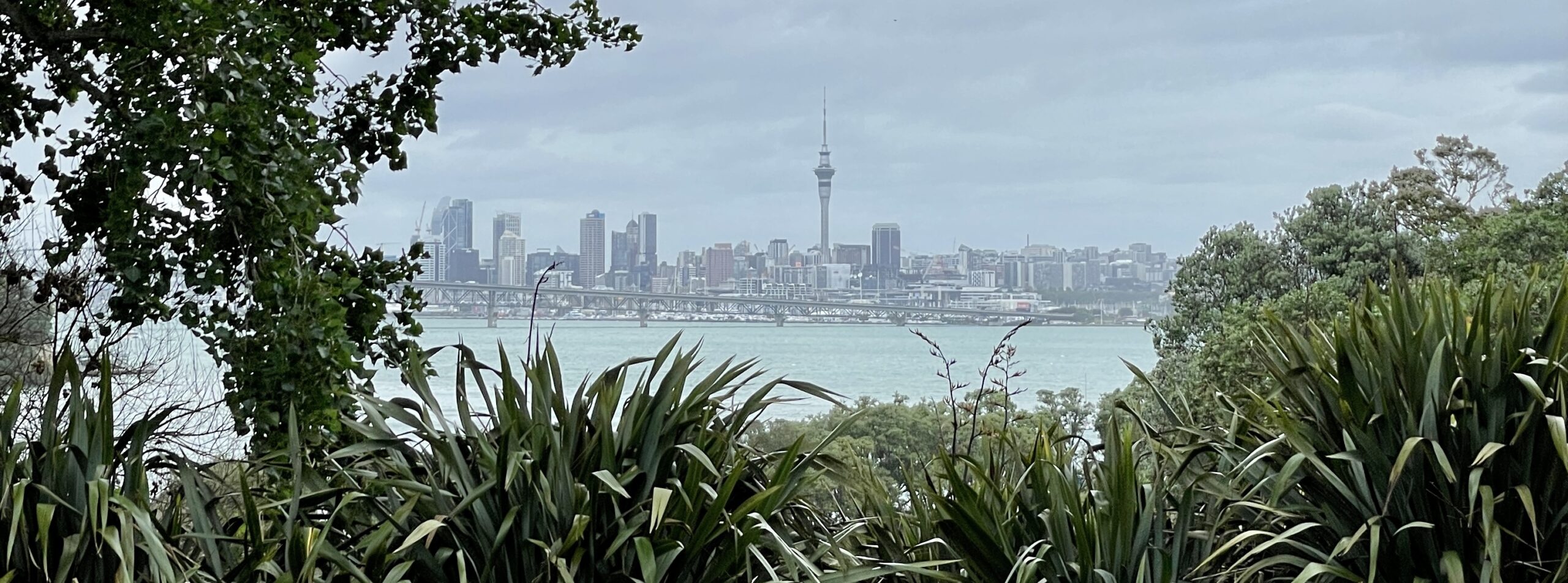 Auckland NZ